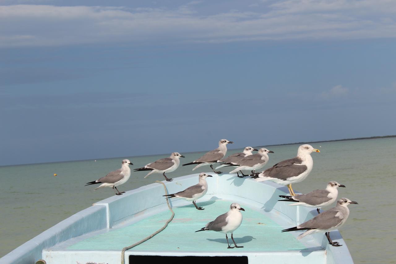 Tierra Mia Boutique Hotel Isla Holbox Екстериор снимка